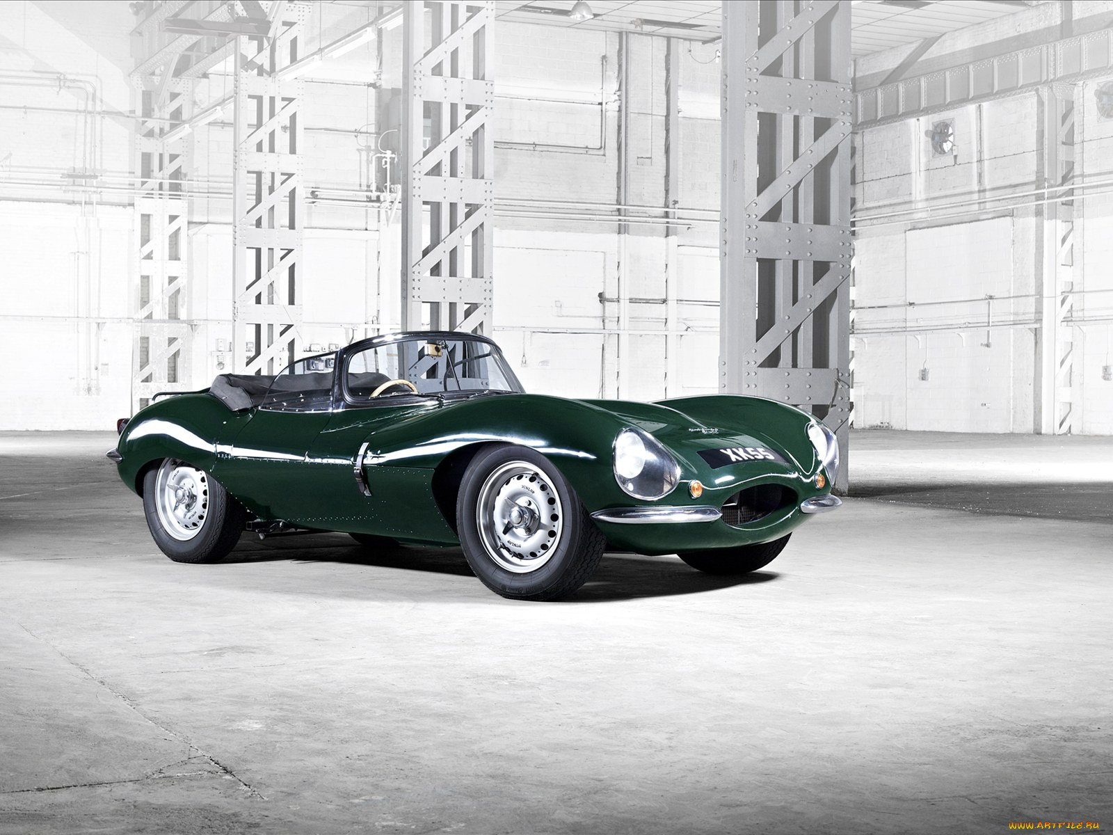 , jaguar